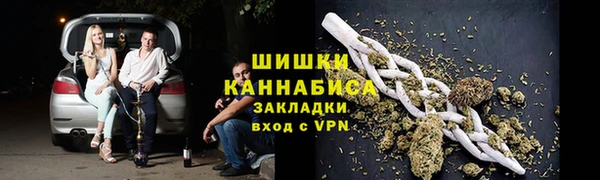 прущие грибы Нефтекумск