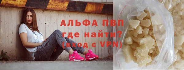 прущие грибы Нефтекумск
