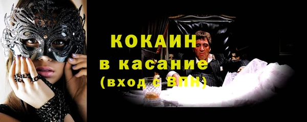 прущие грибы Нефтекумск