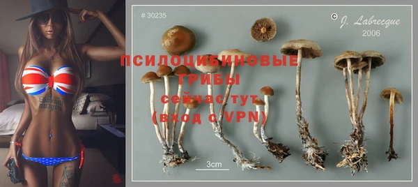 apvp Нефтегорск