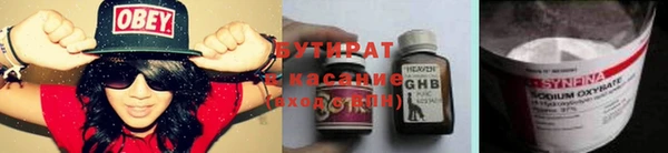 прущие грибы Нефтекумск