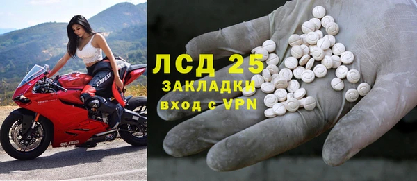 прущие грибы Нефтекумск