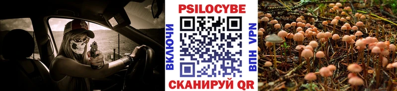 Псилоцибиновые грибы прущие грибы  Обь 