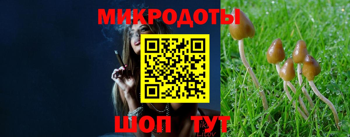 Галлюциногенные грибы мухоморы Обь