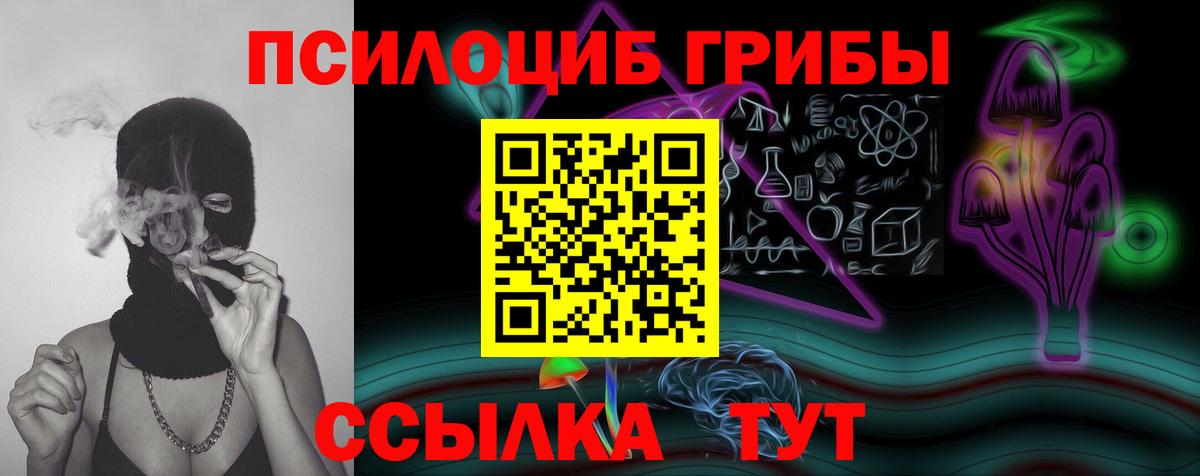 Обь  где найти   Вход с VPN  Псилоцибиновые грибы Psilocybe 